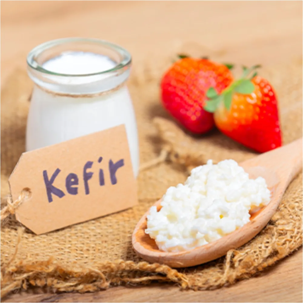 Antibiyotik Kullanırken Nasıl Beslenmeli?