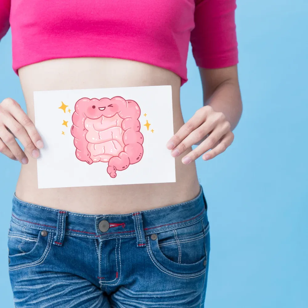 Bağırsak Sağlığı Neden Önemlidir?