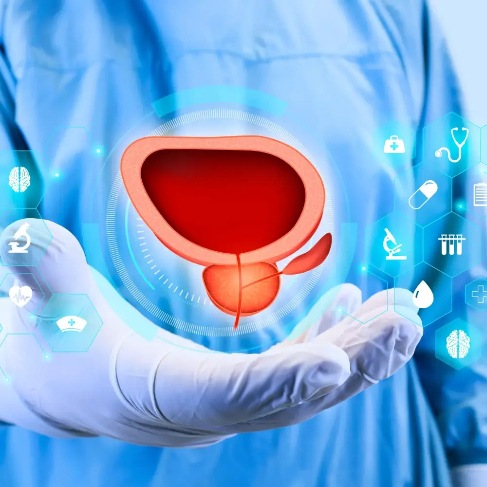 Prostat Sağlığını Etkileyen Faktörler Nelerdir?