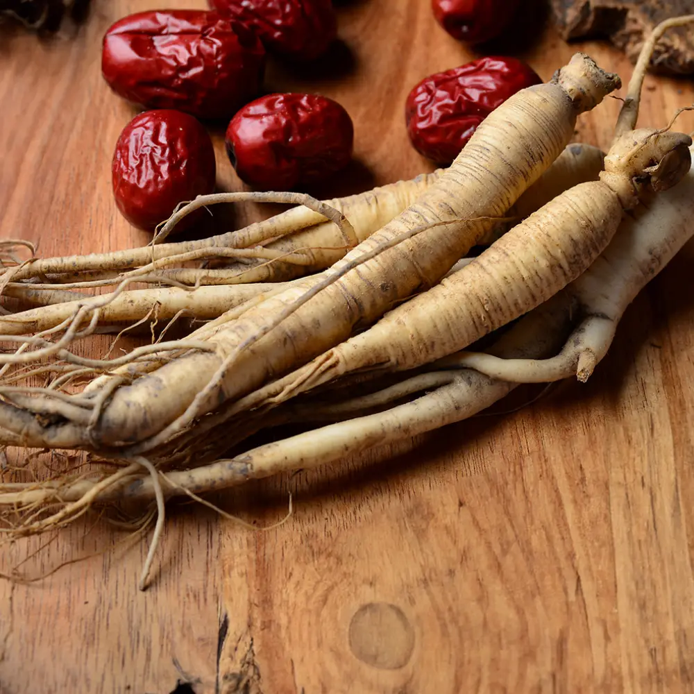  Ginseng Nedir? Ne İşe Yarar? 