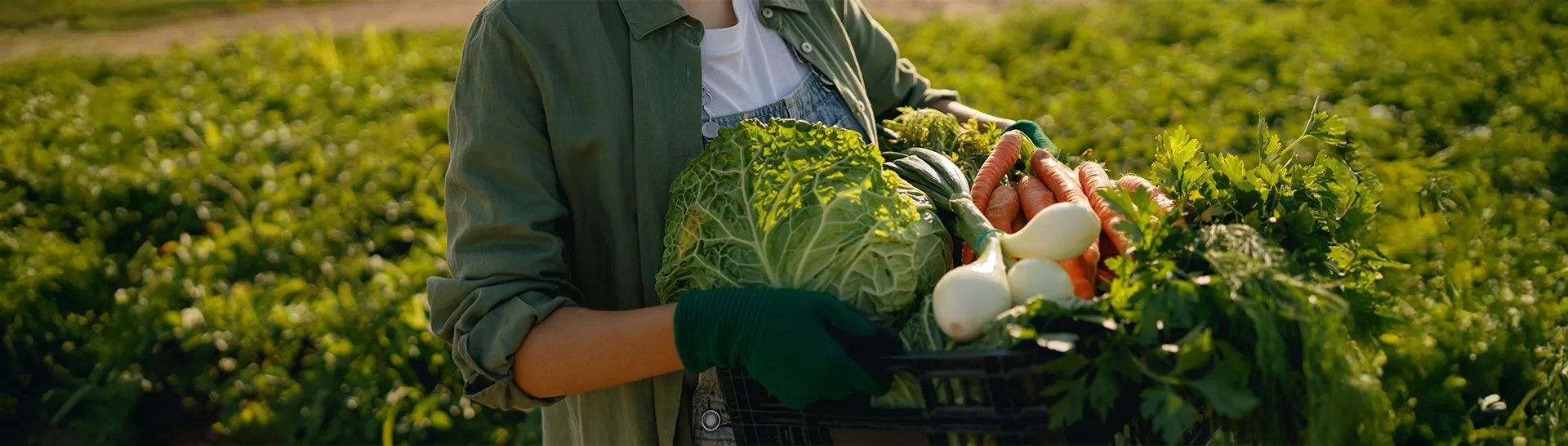 Vitaminler & Mineraller